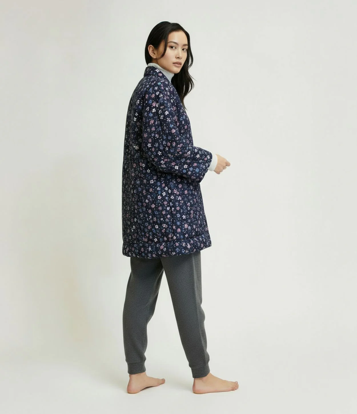 Aozaki Hanten - Image 4